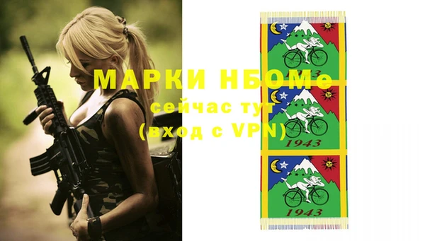 твердый Няндома