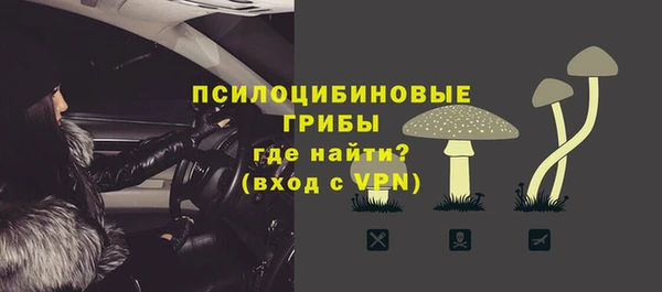 твердый Няндома