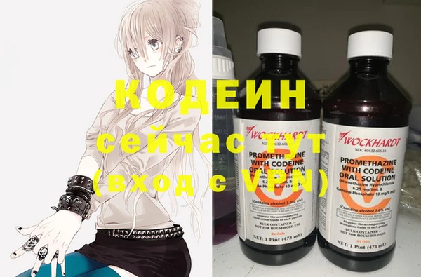 твердый Няндома