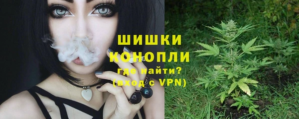 твердый Няндома